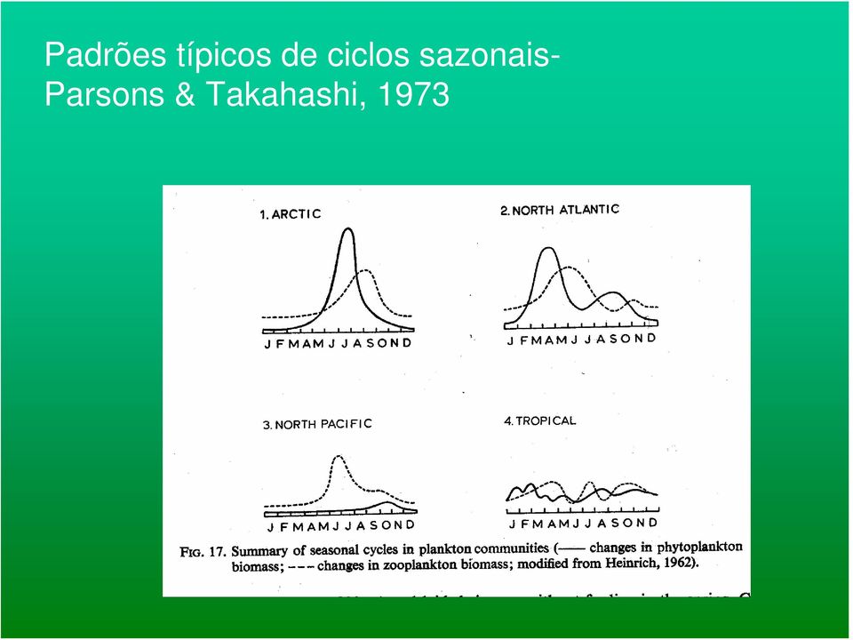 sazonais-