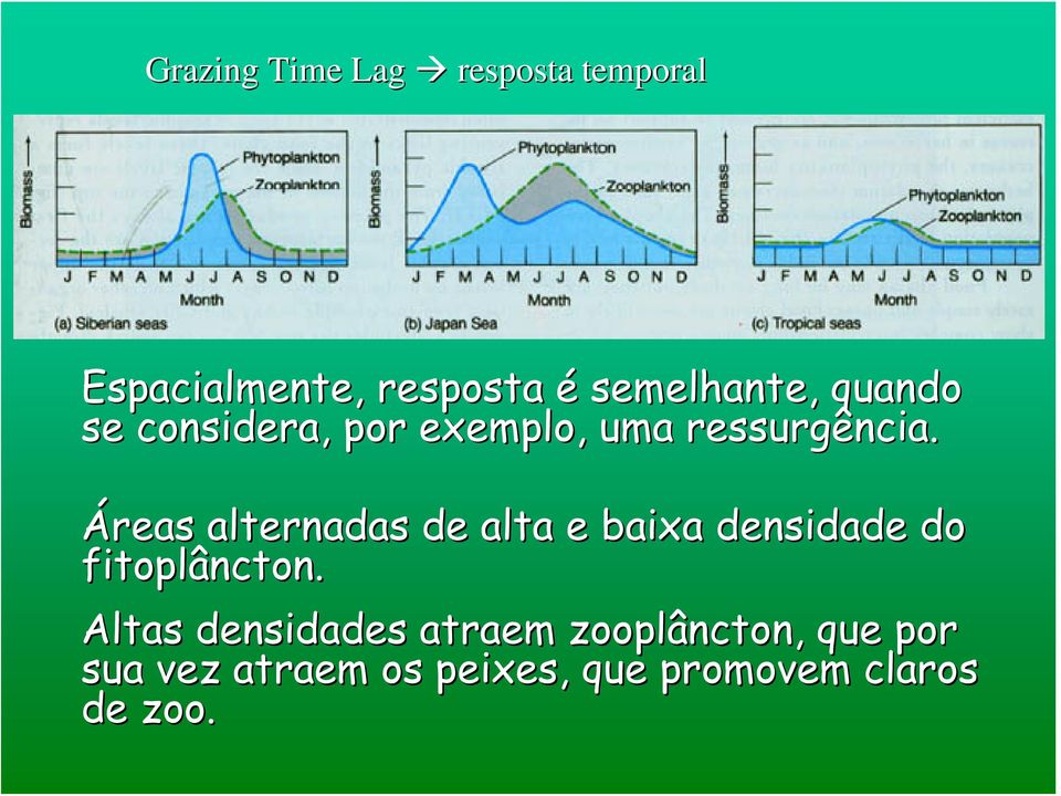 Áreas alternadas de alta e baixa densidade do fitoplâncton.