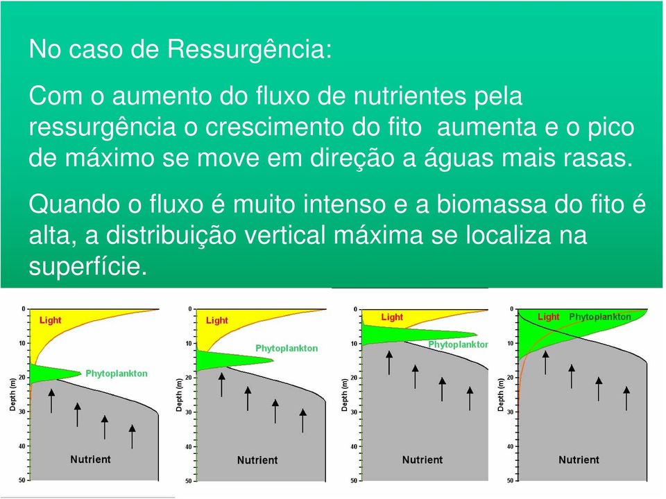 em direção a águas mais rasas.