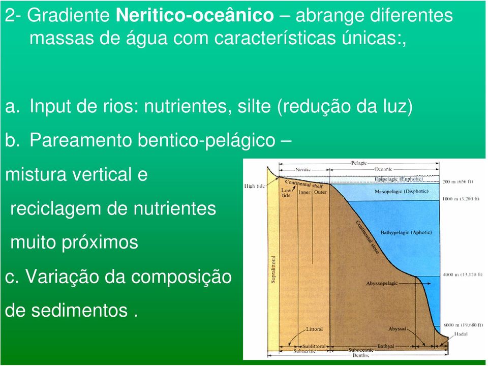 Input de rios: nutrientes, silte (redução da luz) b.