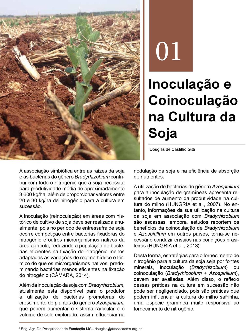 A inoculação (reinoculação) em áreas com histórico de cultivo de soja deve ser realizada anualmente, pois no período de entressafra de soja ocorre competição entre bactérias fixadoras do nitrogênio e