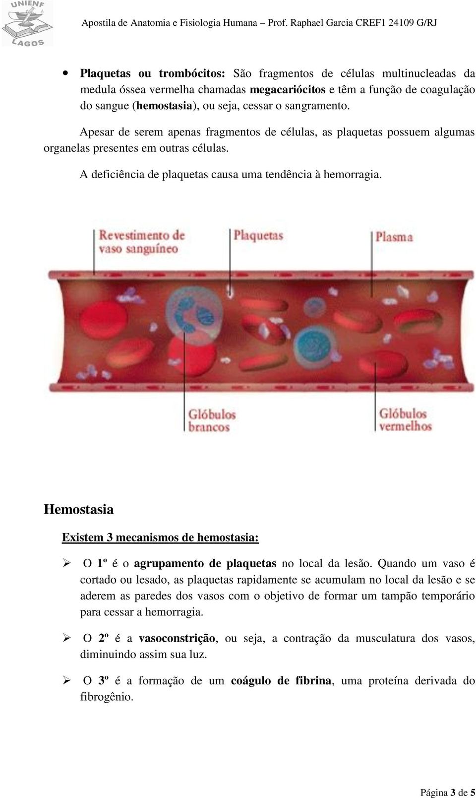 Hemostasia Existem 3 mecanismos de hemostasia: O 1º é o agrupamento de plaquetas no local da lesão.