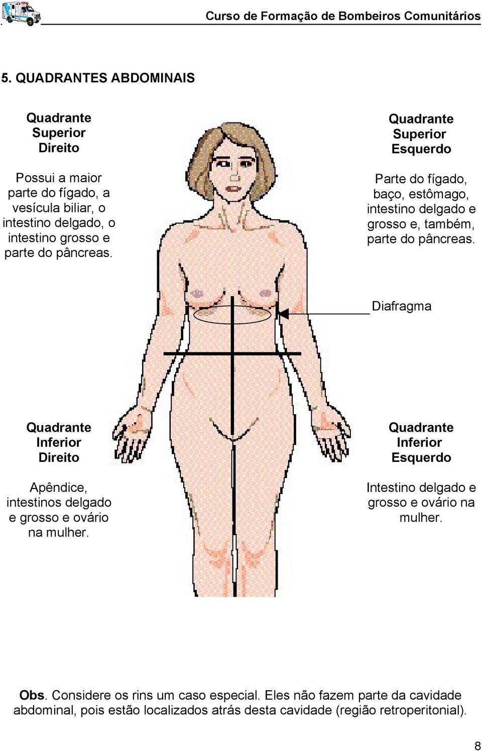Diafragma Quadrante Inferior Direito Apêndice, intestinos delgado e grosso e ovário na mulher.