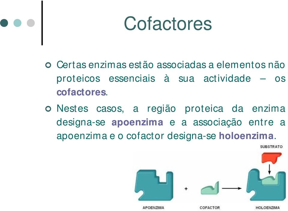 Nestes casos, a região proteica da enzima designa-se