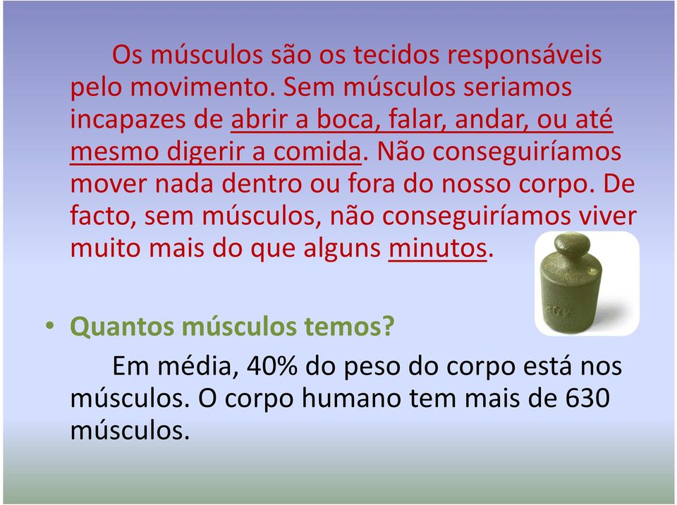 Não conseguiríamos mover nada dentro ou fora do nosso corpo.