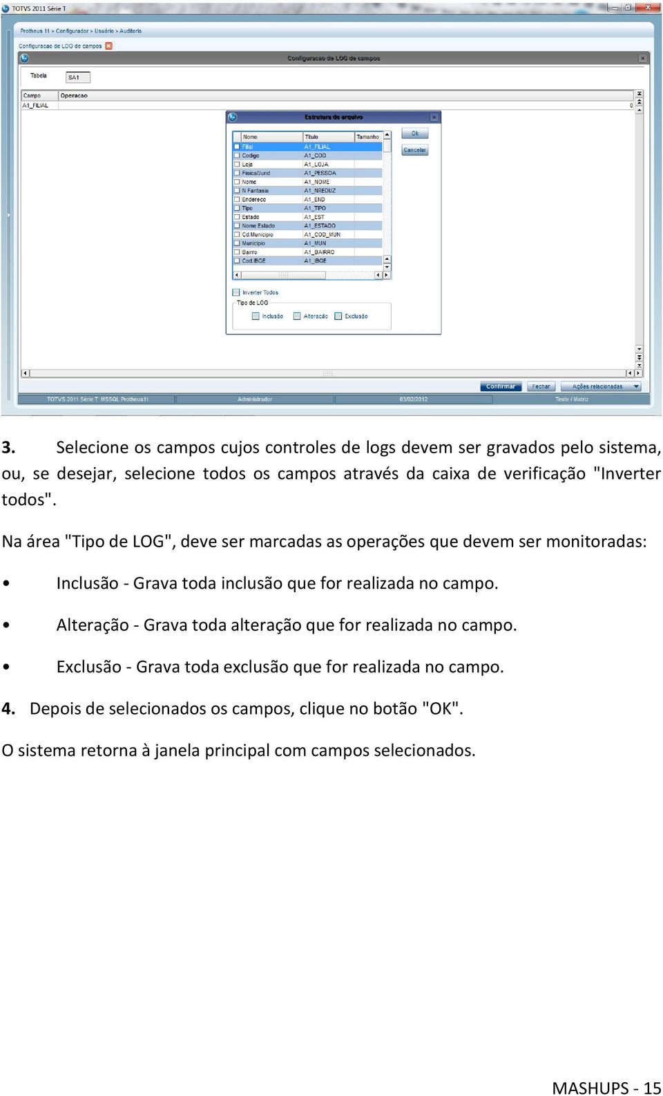 Na área "Tipo de LOG", deve ser marcadas as operações que devem ser monitoradas: Inclusão - Grava toda inclusão que for realizada no campo.