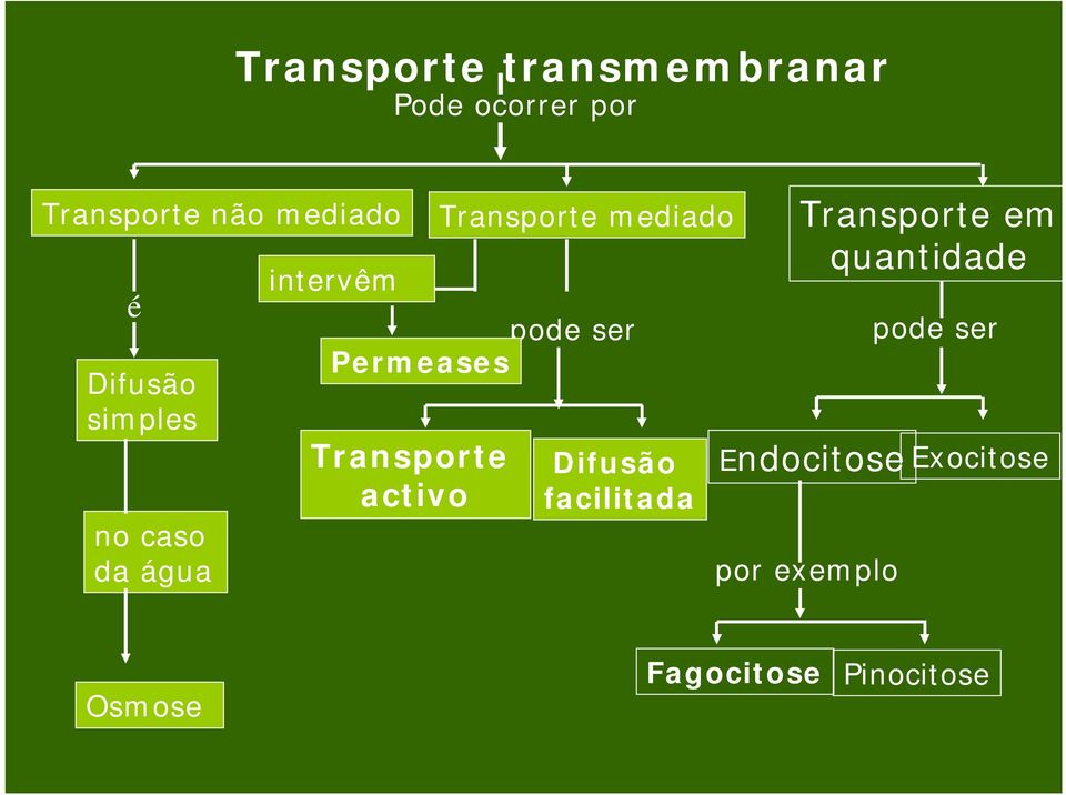 mediado pode ser Permeases Difusão facilitada Transporte em