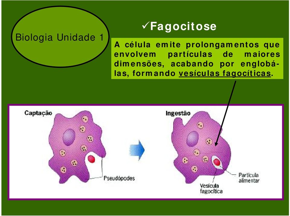 partículas de maiores dimensões,