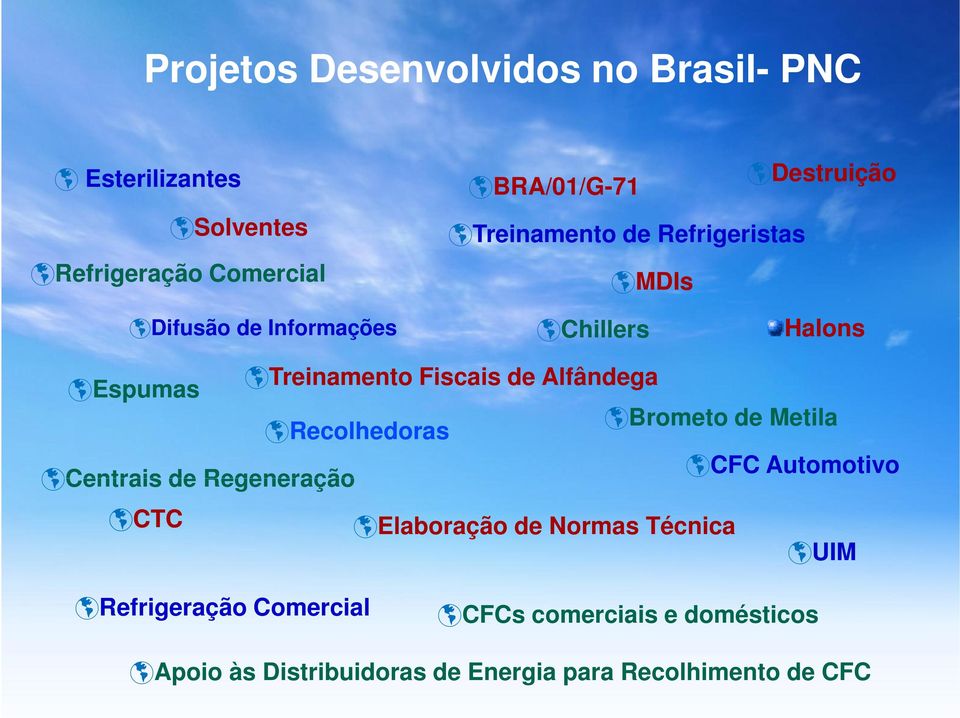 Regeneração CTC Treinamento Fiscais de Alfândega Brometo de Metila Elaboração de Normas Técnica CFC Automotivo