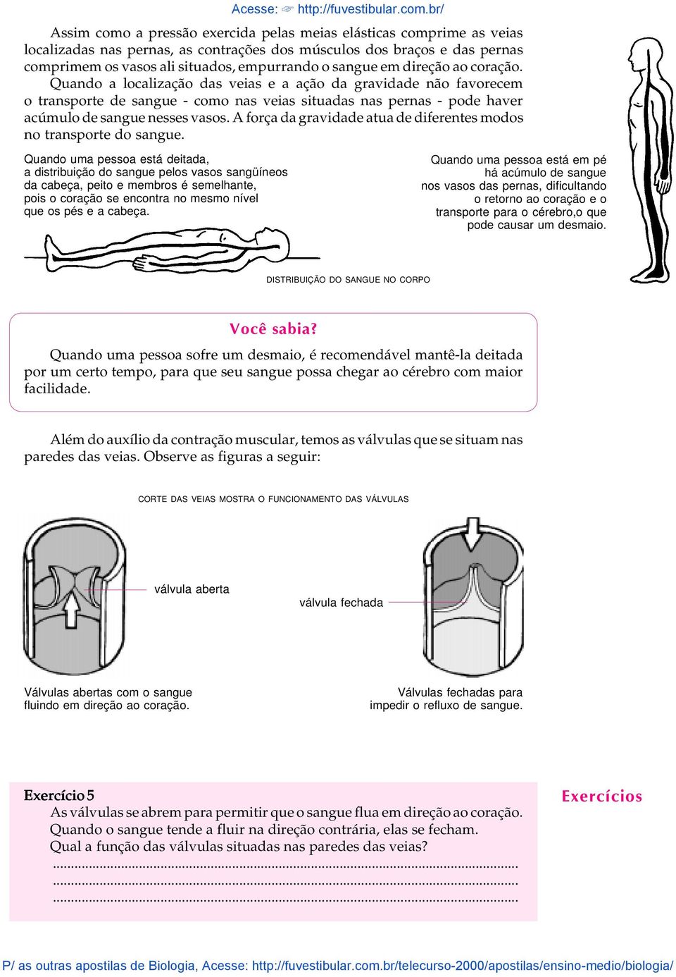 sangue em direção ao coração.