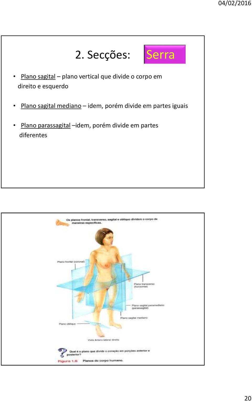 mediano idem, porém divide em partes iguais Plano