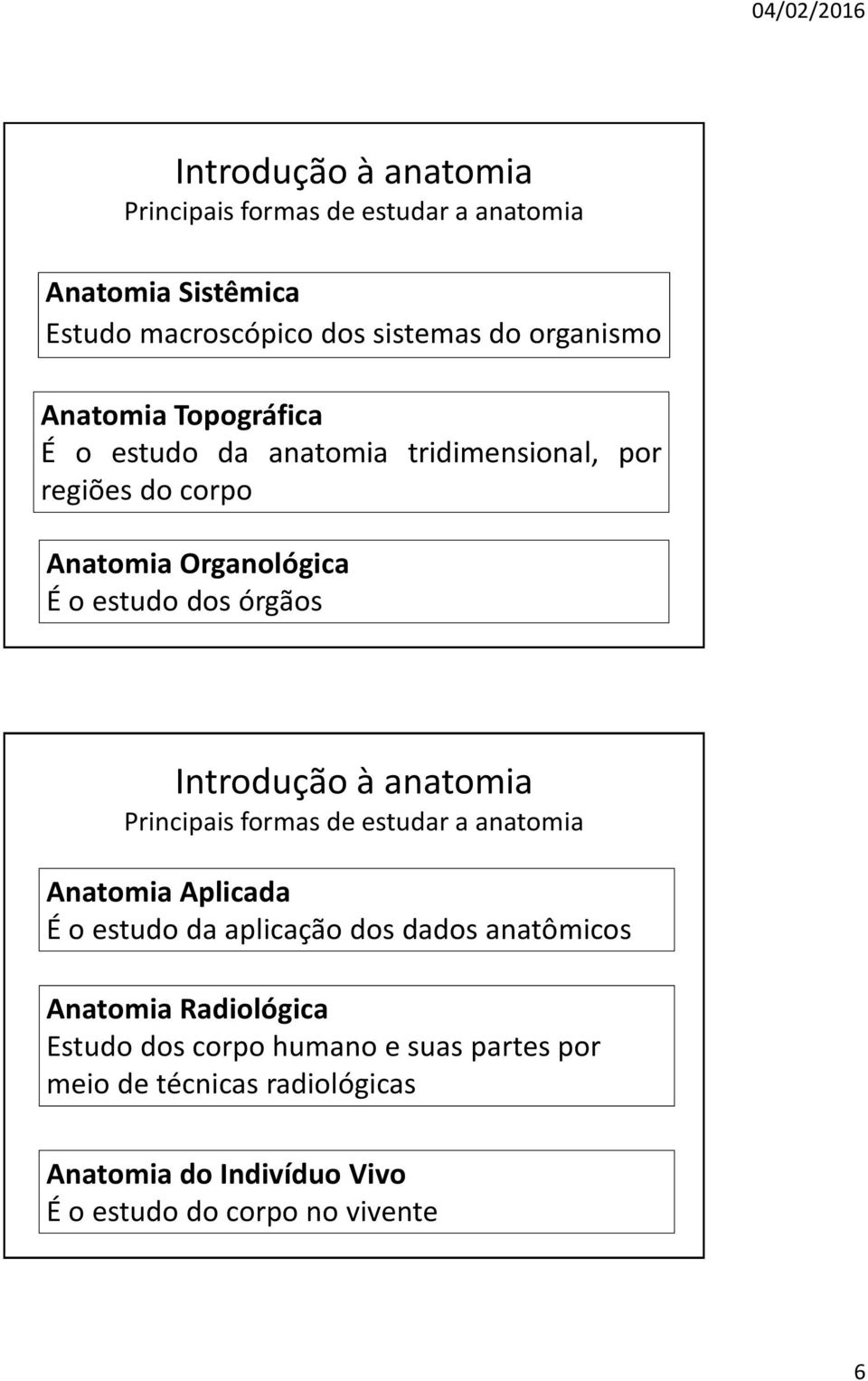 Introdução à anatomia Principais formas de estudar a anatomia Anatomia Aplicada É o estudo da aplicação dos dados anatômicos