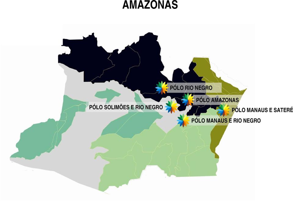 PÓLO AMAZONAS PÓLO MANAUS