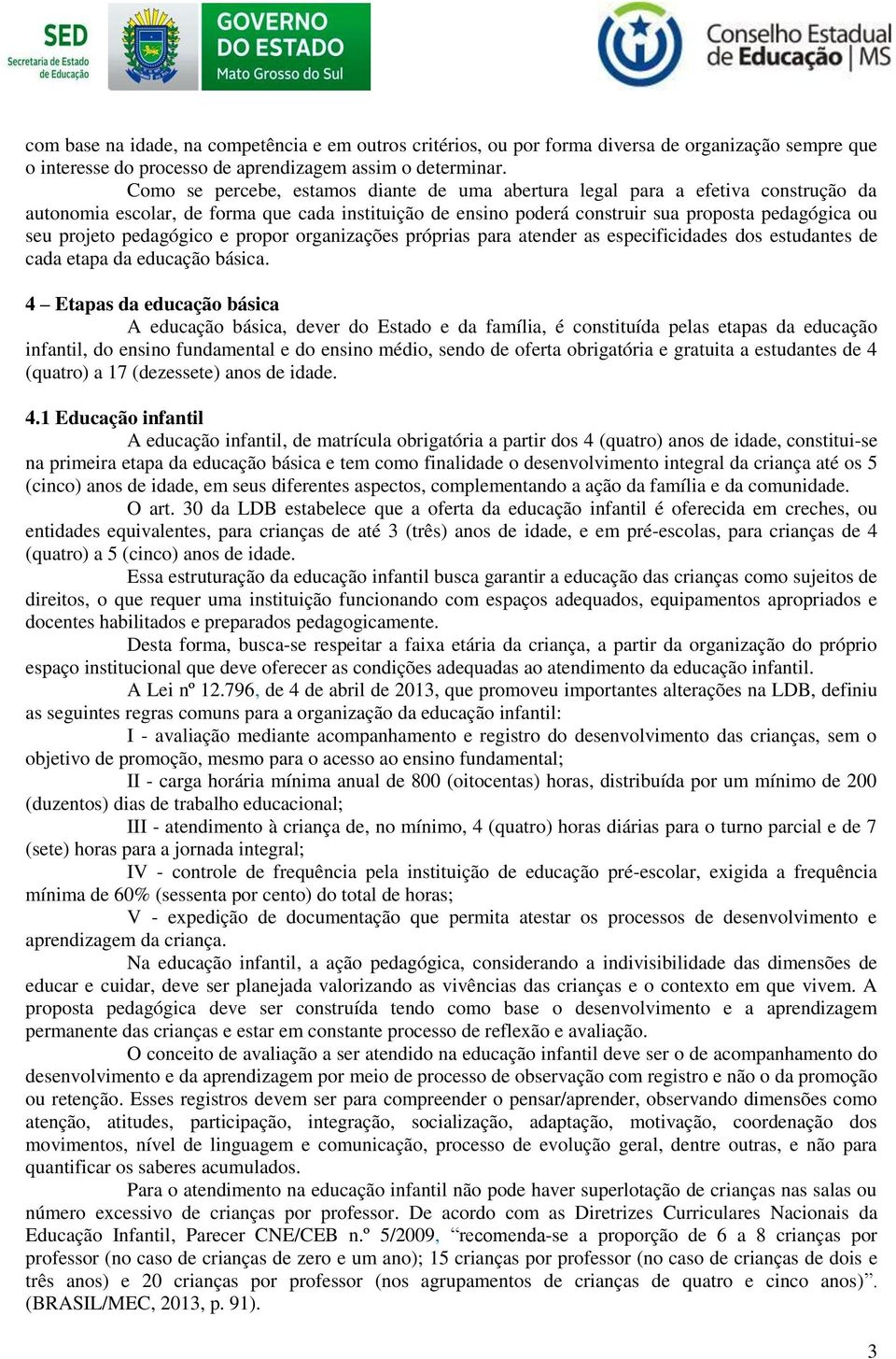 pedagógico e propor organizações próprias para atender as especificidades dos estudantes de cada etapa da educação básica.