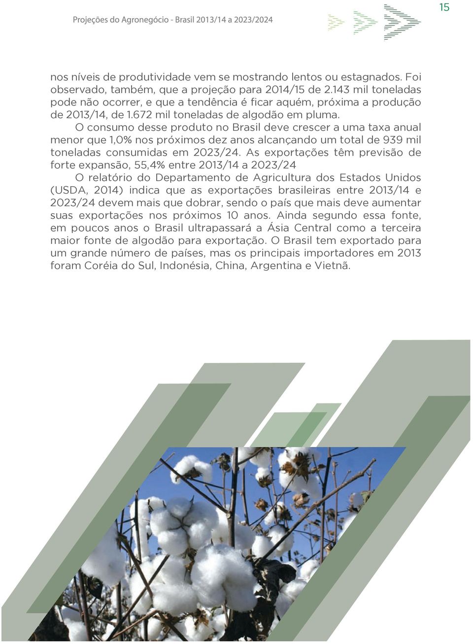 O consumo desse produto no Brasil deve crescer a uma taxa anual menor que 1,0% nos próximos dez anos alcançando um total de 939 mil toneladas consumidas em 2023/24.