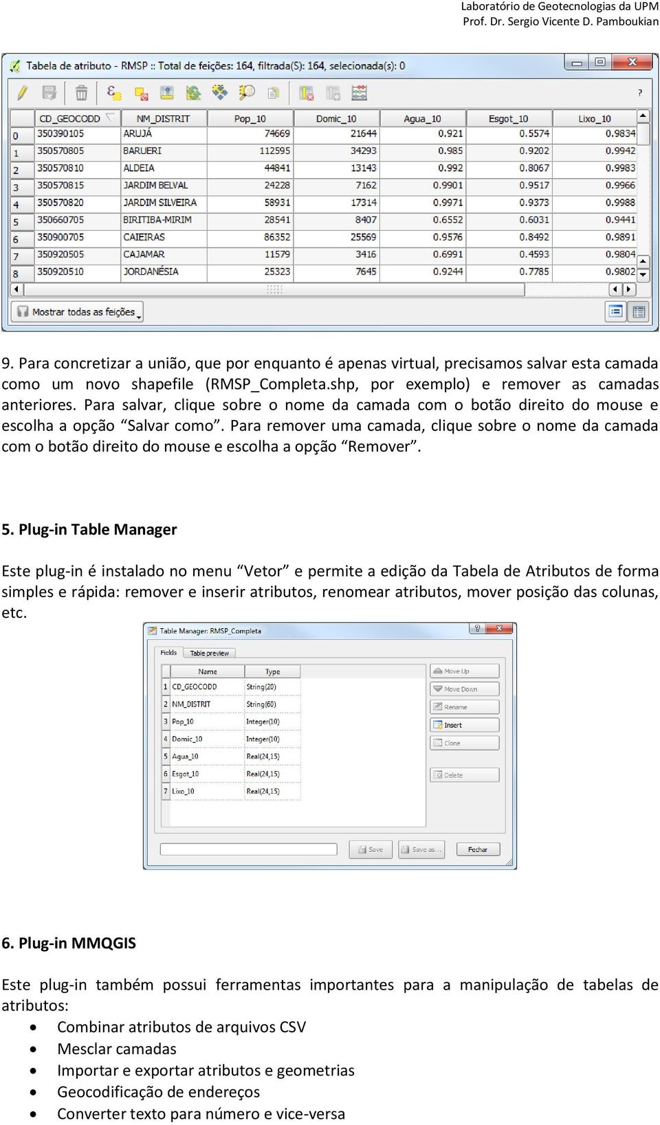 Para remover uma camada, clique sobre o nome da camada com o botão direito do mouse e escolha a opção Remover. 5.