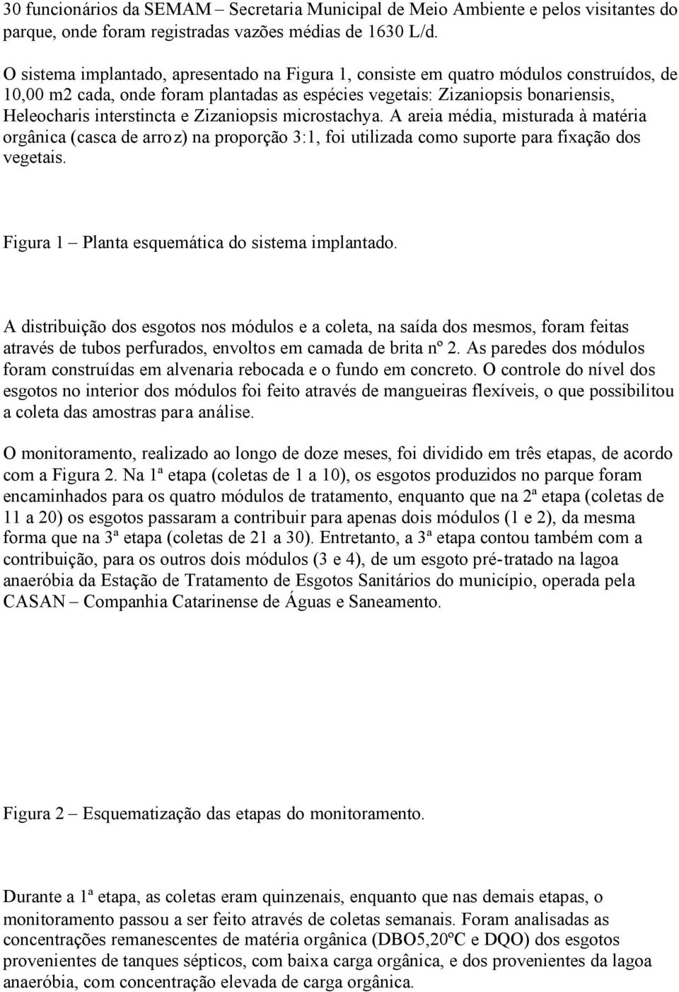 Zizaniopsis microstachya. A areia média, misturada à matéria orgânica (casca de arroz) na proporção 3:1, foi utilizada como suporte para fixação dos vegetais.