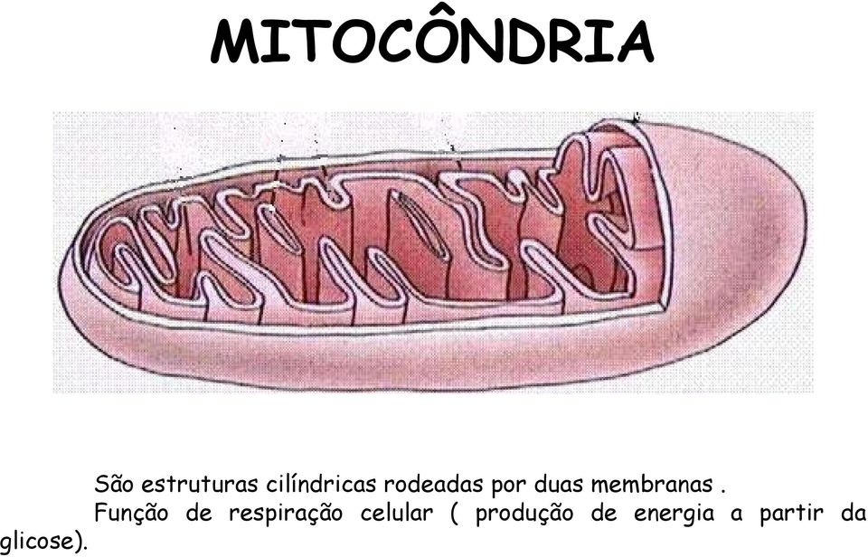 membranas.