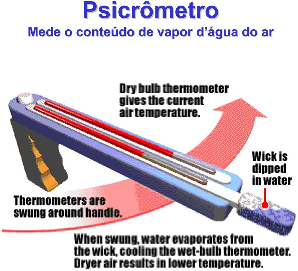 conteúdo de