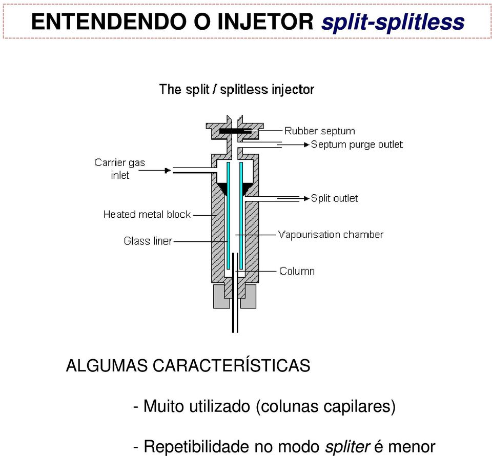 CARACTERÍSTICAS - Muito utilizado