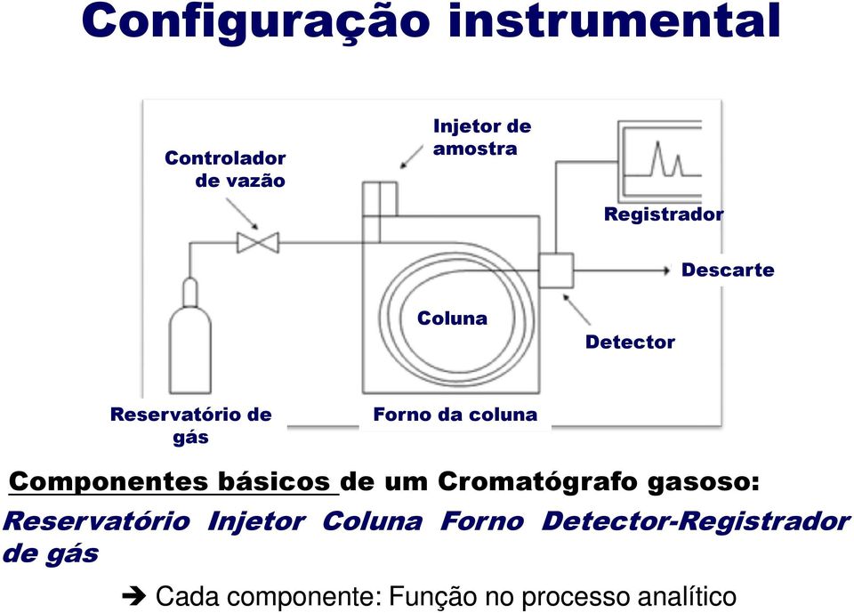 Componentes básicos de um Cromatógrafo gasoso: Reservatório Injetor