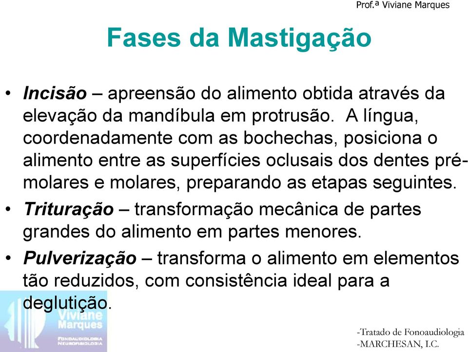 preparando as etapas seguintes. Trituração transformação mecânica de partes grandes do alimento em partes menores.