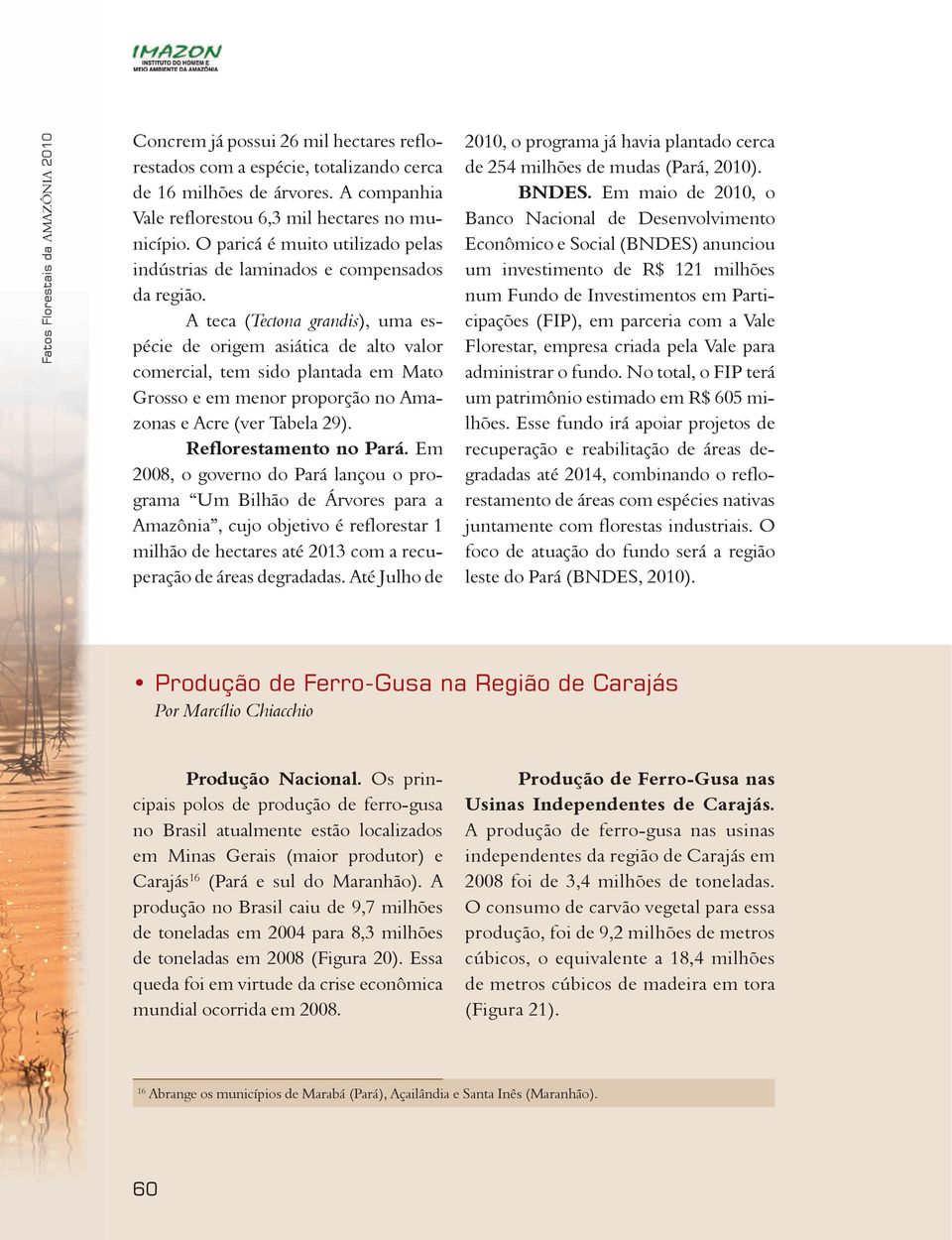 A teca (Tectona grandis), uma espécie de origem asiática de alto valor comercial, tem sido plantada em Mato Grosso e em menor proporção no Amazonas e Acre (ver Tabela 29). Reflorestamento no Pará.