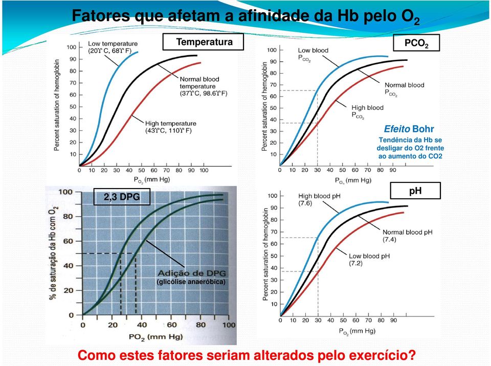 do O2 frente ao aumento do CO2 2,3 DPG ph (glicólise