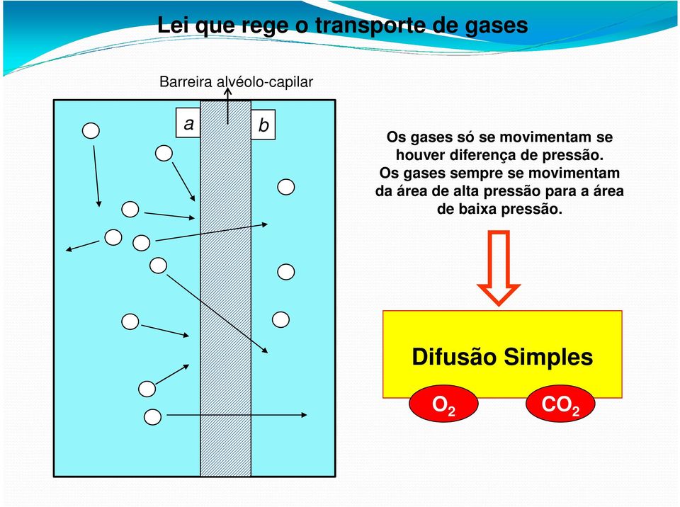 diferença de pressão Os gases sempre se movimentam da