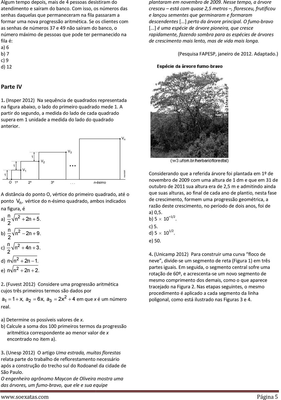 Nesse tempo, a árvore cresceu está com quase,5 metros, floresceu, frutificou e lançou sementes que germinaram e formaram descendentes [...] perto da árvore principal. O fumo-bravo [.