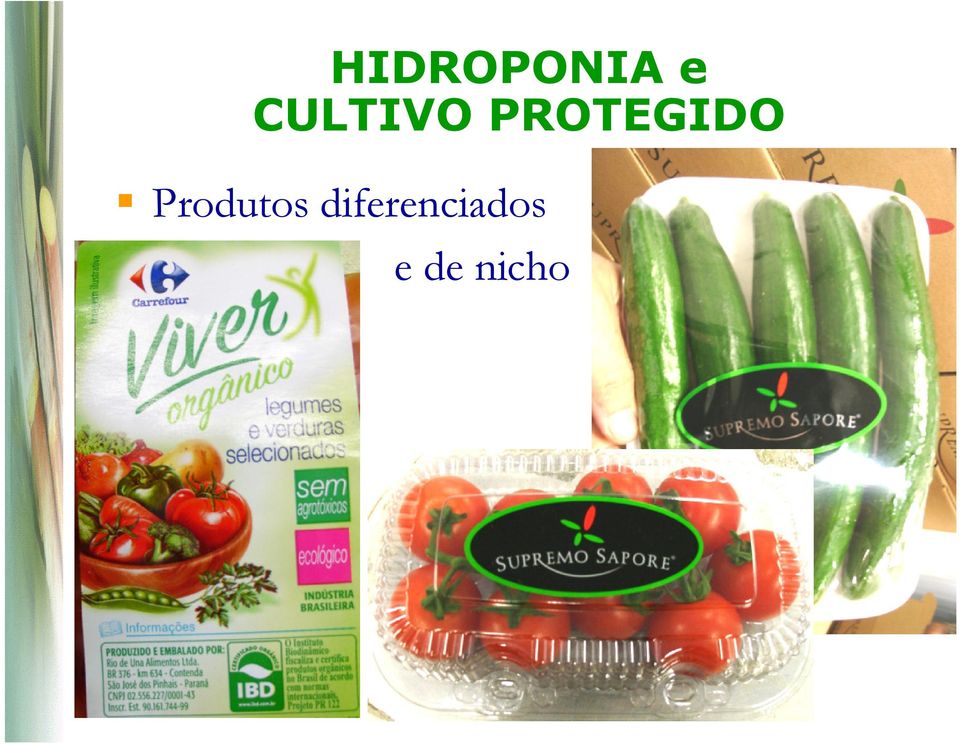 PROTEGIDO