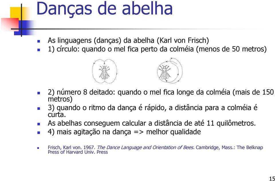 distância para a colméia é curta. As abelhas conseguem calcular a distância de até 11 quilômetros.