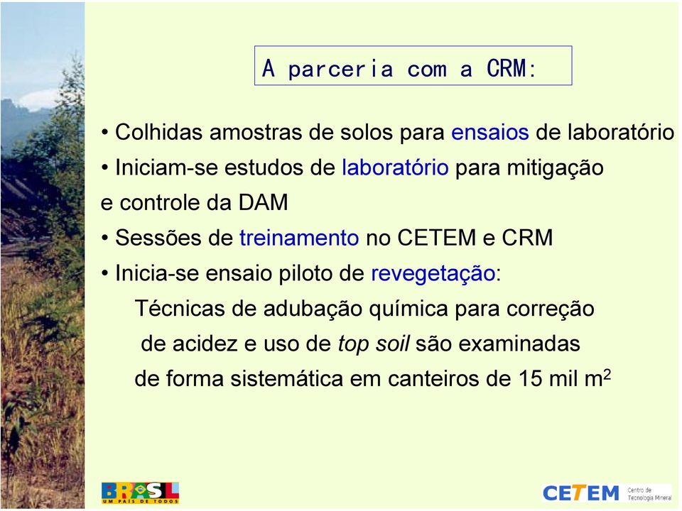 e CRM Inicia-se ensaio piloto de revegetação: Técnicas de adubação química para correção