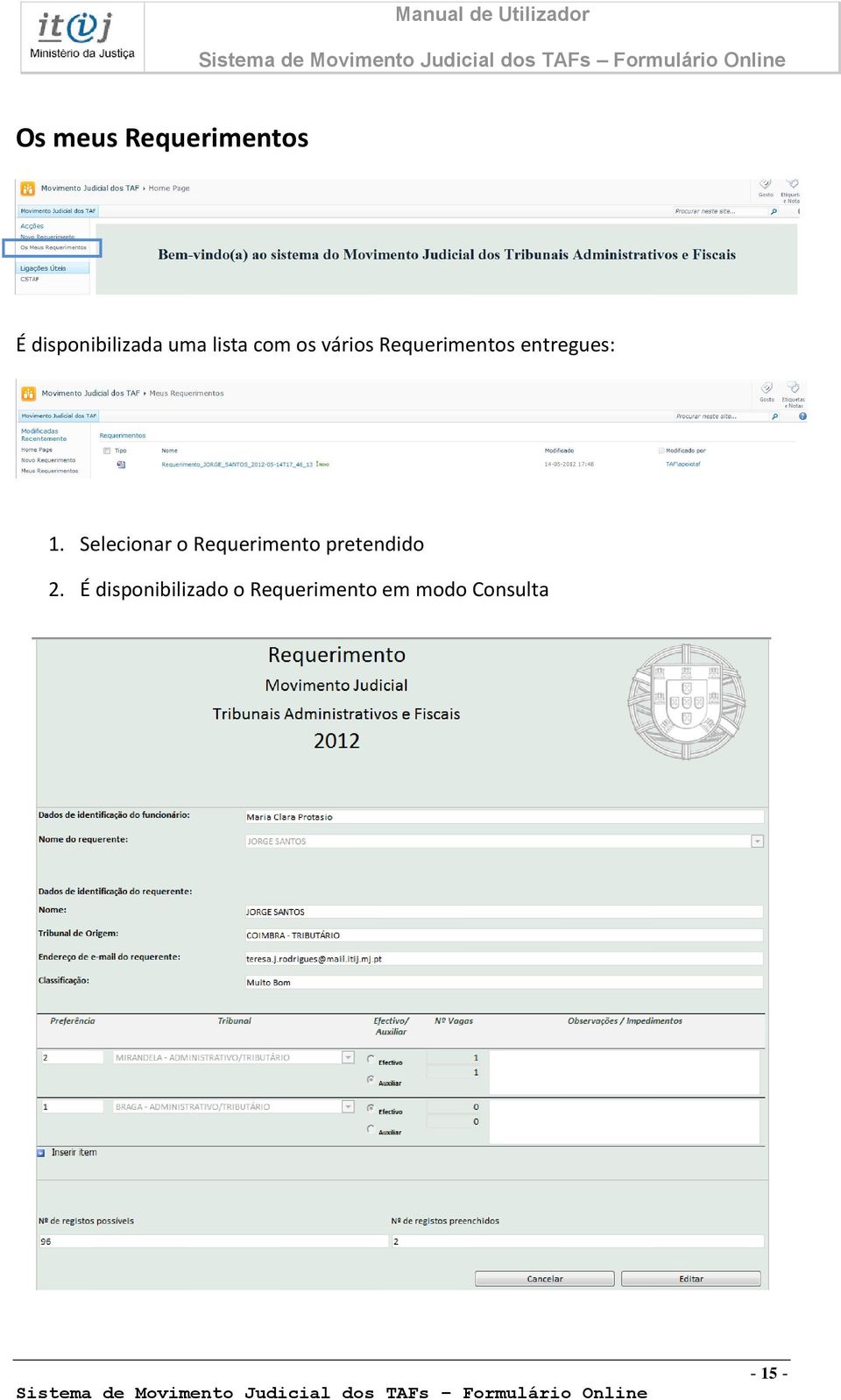 Selecionar o Requerimento pretendido 2.