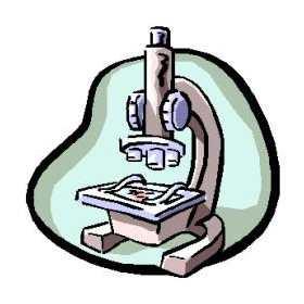 cirurgia) X post mortem (necropsia); Material proveniente de trabalhos