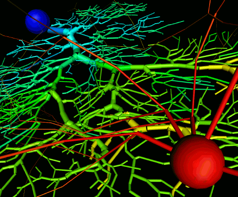 Histórico Retorno das Redes Neurais (1986-Atualmente) No final dos anos 70, o estudo de redes neurais foram abandonados devido ao pouco avanço no conhecimento da neurociência.