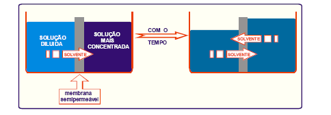 osmose Processo onde ocorre a passagem do solvente, através de uma
