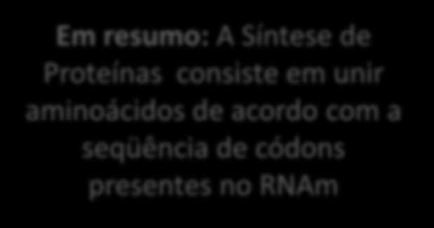 VISTA GERAL A síntese de proteínas contém duas etapas: 1)