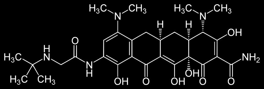 Glicilciclinas Tigeciclinas Inibidor da síntese protéica Sítio A subunidade 30S Vantagem sobre as tetraciclinas: não é afetada pelo efluxo e