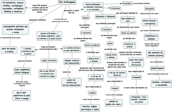 Discuta sucintamente sobre a contribuição da cutícula no sucesso dos artrópodes e dê o nome de outros fatores que contribuíram para esse sucesso. 4.