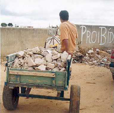 21 3.3.5. A Coleta e Transporte dos Resíduos da Construção Civil Os geradores dos resíduos da construção civil são responsáveis pela coleta, transporte e disposição final dos mesmos.