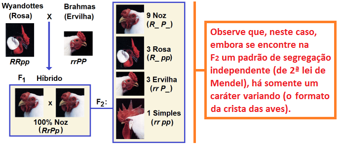 INTERAÇÕES