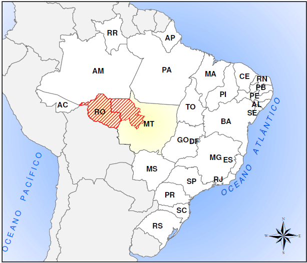 A STCP NO INVENTÁRIO FLORESTAL NACIONAL 2 LOTES: Estado de Rondônia Noroeste Mato Grosso RÔNDONIA 28,6 milhões hec.