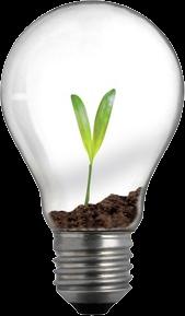 Plante sementes da inovação! Investimento mínimo R$ 5.