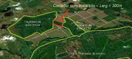 Inclusão da APP e RL no planejamento da propriedade Efeito de borda: priorizar fragmentos maiores: Manejo da Paisagem