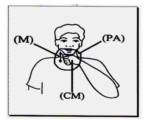 parâmetros maiores são a Configuração da(s) Mão(s) (CM), o Movimento (M) e o Ponto de Articulação (PA).