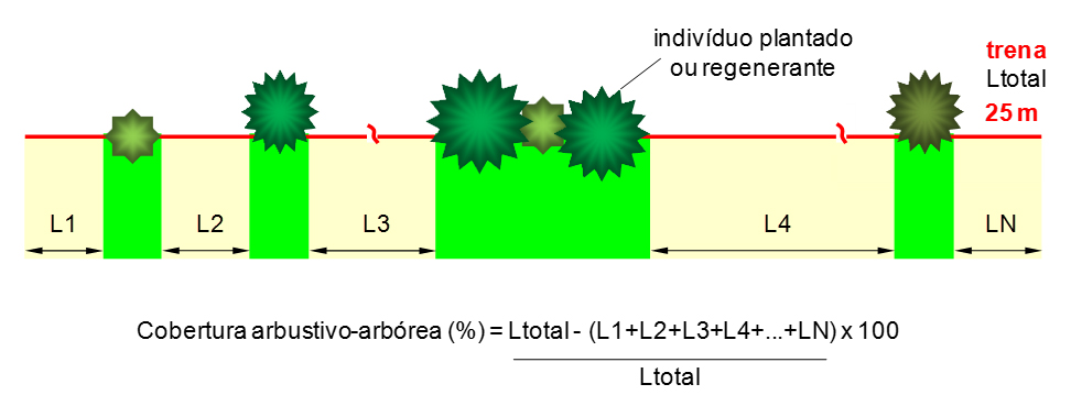 Figura 30 Ilustração e fórmula para cálculo de cobertura arbustivo-arbórea de espécies nativas. Figura 31 Exemplo de medição da copa de indivíduo projetada na trena. 5.2.