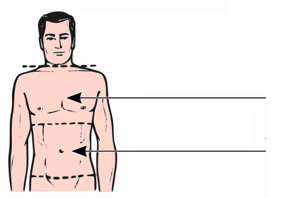 Atividade de Estudo - Ciências 4º ano Nome: 1- OBSERVE o desenho abaixo e FAÇA o que se pede.