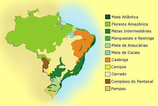 Em relação às paisagens vegetais, a