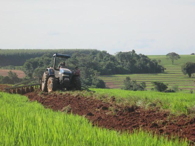 Conservação de solos Santa Terezinha de Itaipu-PR São